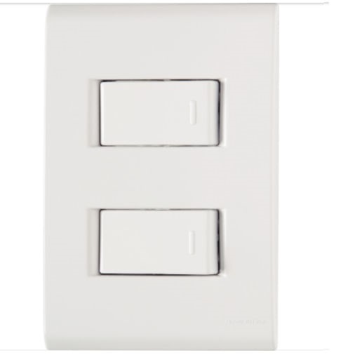 Interruptor Duplo Simples 10a liz