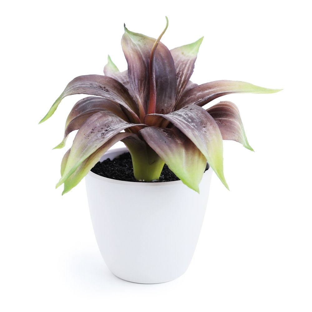 Suculenta Verde Artificial Vrd/bco