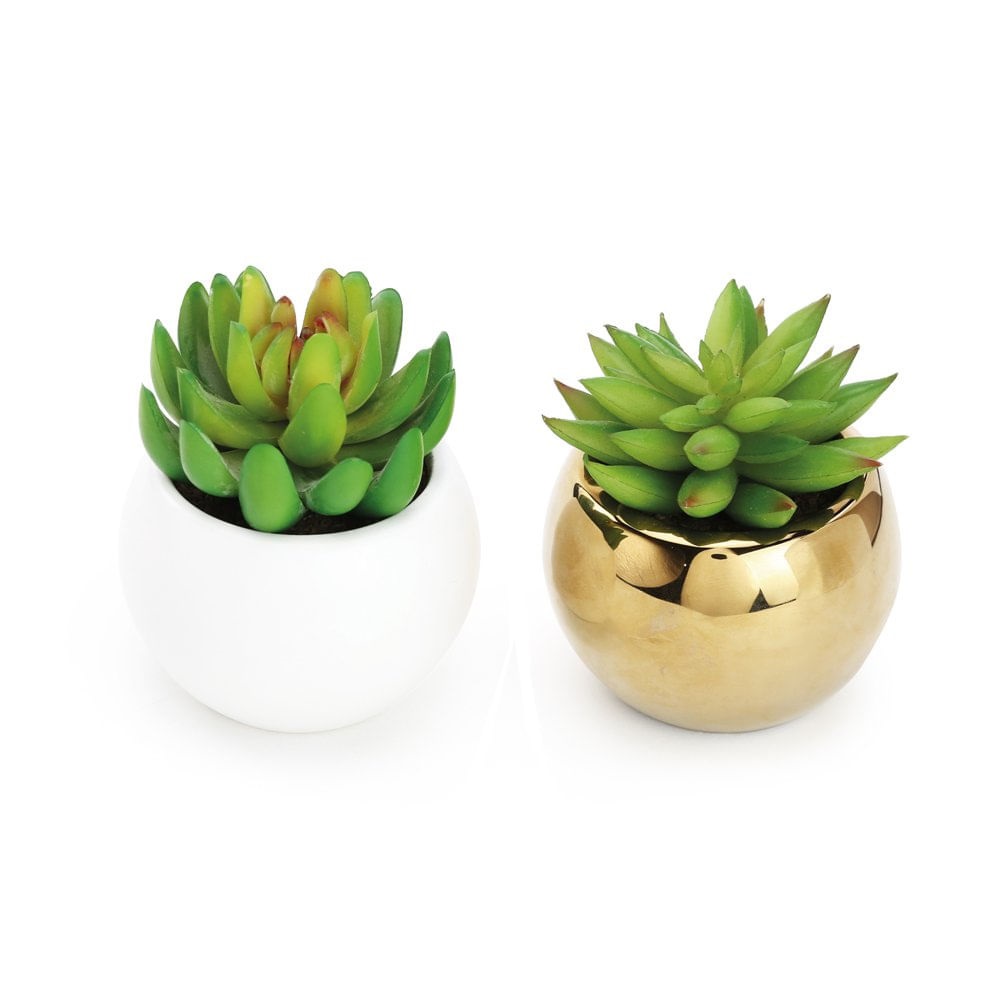 Suculenta Verde Artif Sort Vd/dou