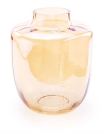 Vaso de Vidro abr 1115538
