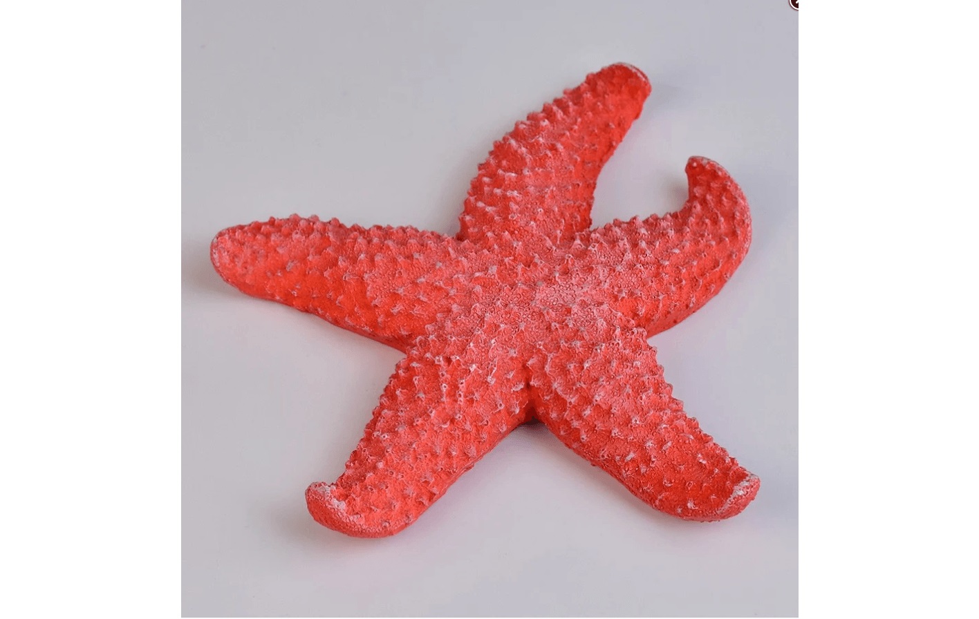 Enfeite Estrela do mar Verm g Xc-96a