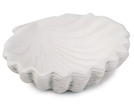 Centro de Mesa Concha Cimento bc 5x15x8