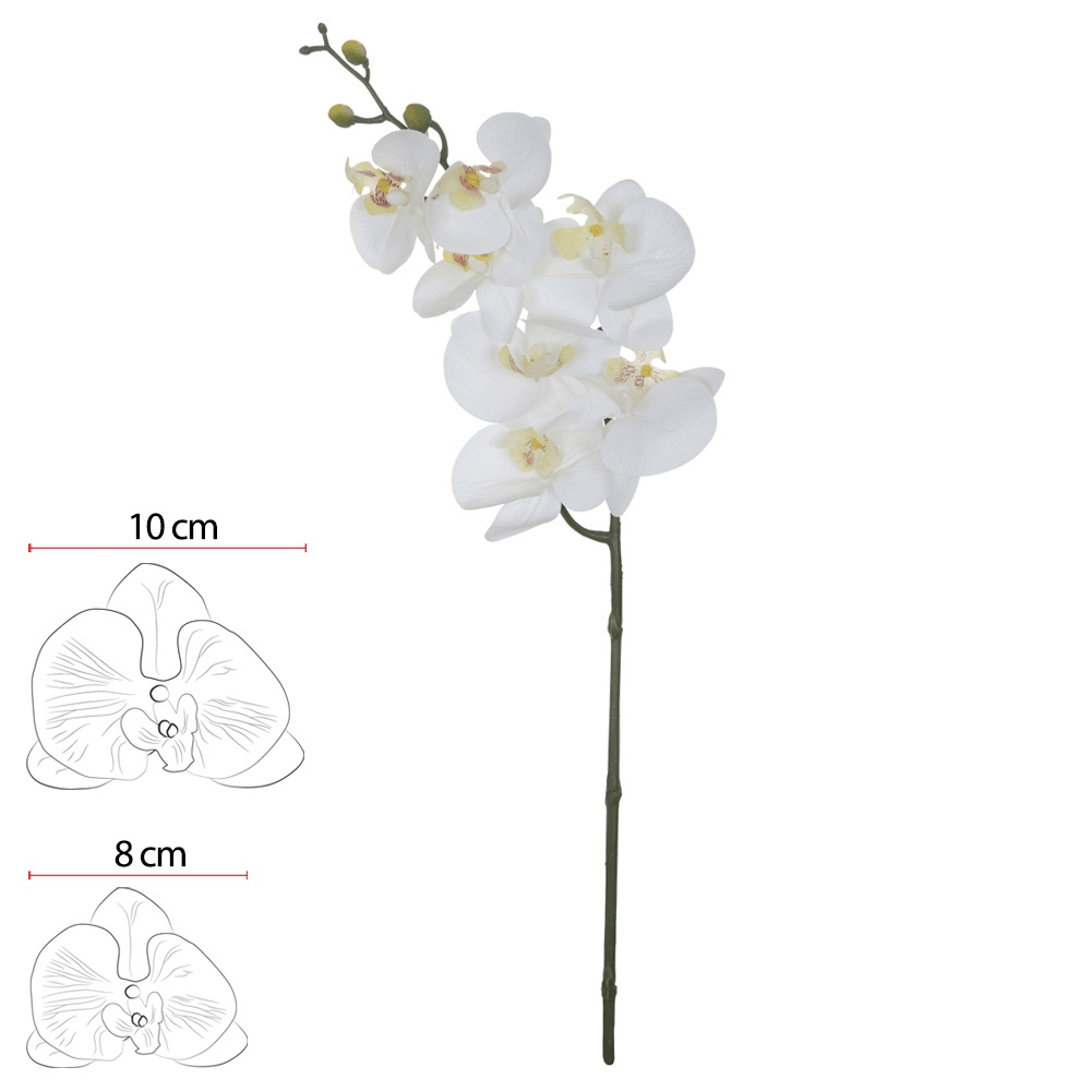 Orquidea Phal Real toq x7 Branco 63cm