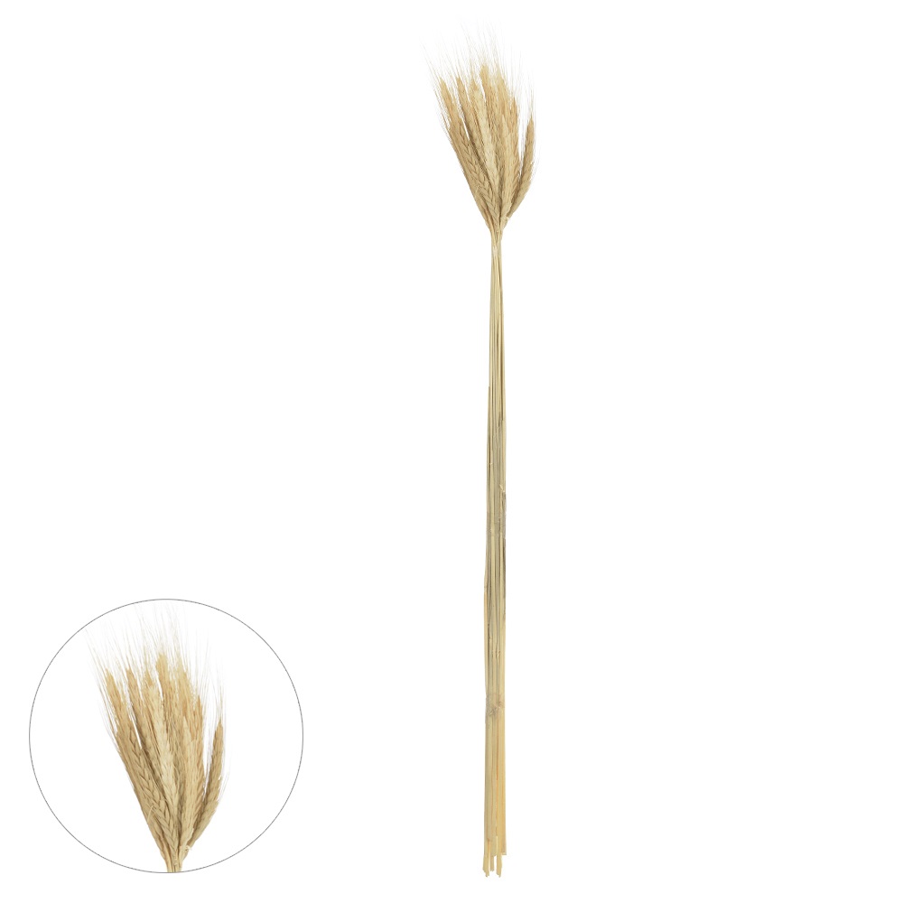 Trigo Com 20 Haste Desidratada  Alvejado 65cm - Florarte