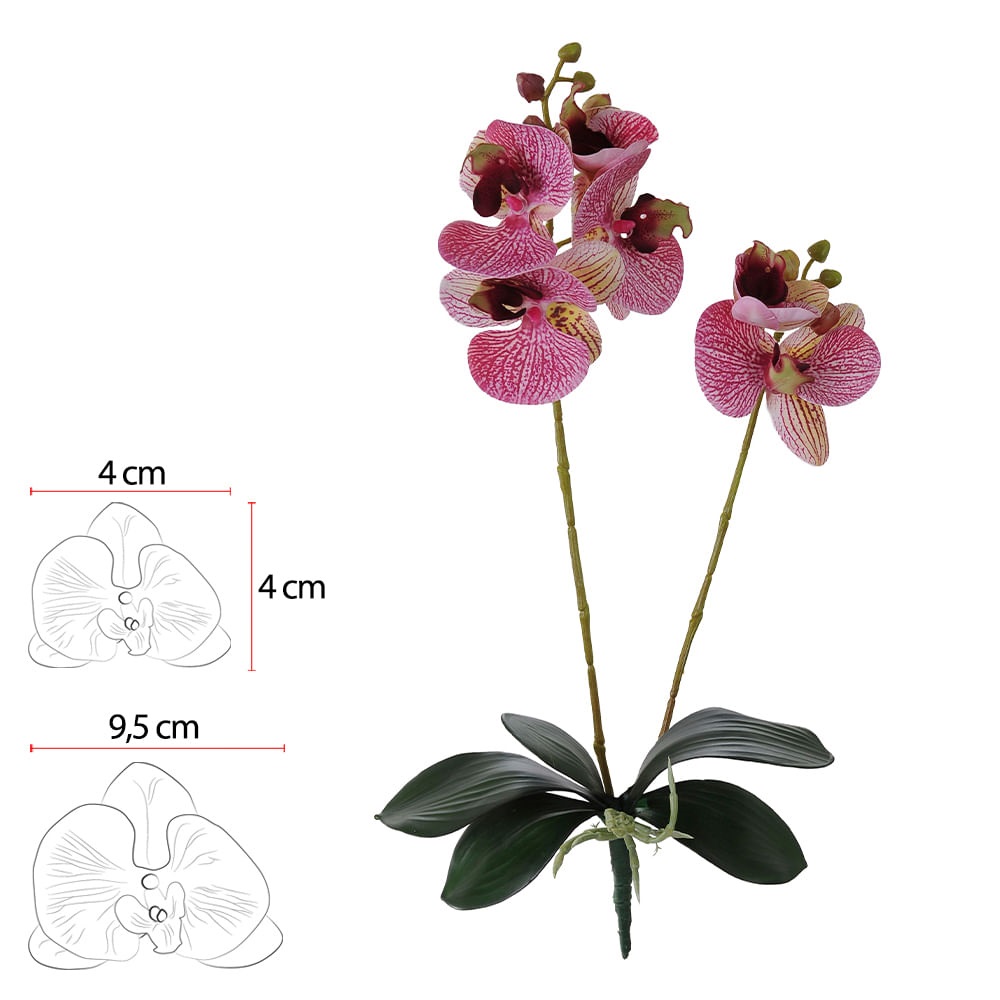 Orquidea Phal Real toq x6 Bea.creme 50cm