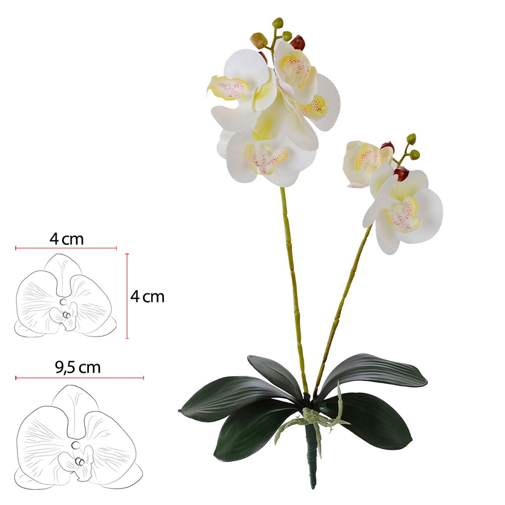 Orquidea Phal Real toq x6 Branco 50cm