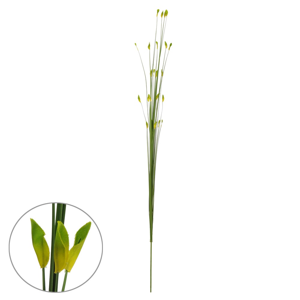 C.capim x25 Verde 1,45m