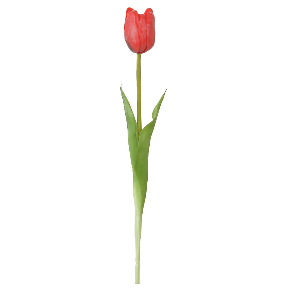 H. Tulipa Real toq Vermelho 44cm