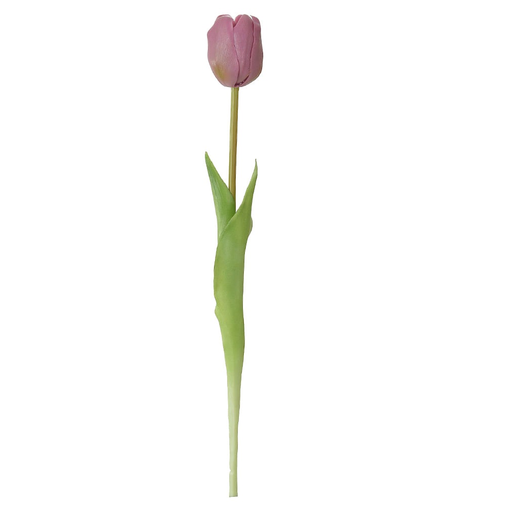 H. Tulipa Real toq Purpura 44cm