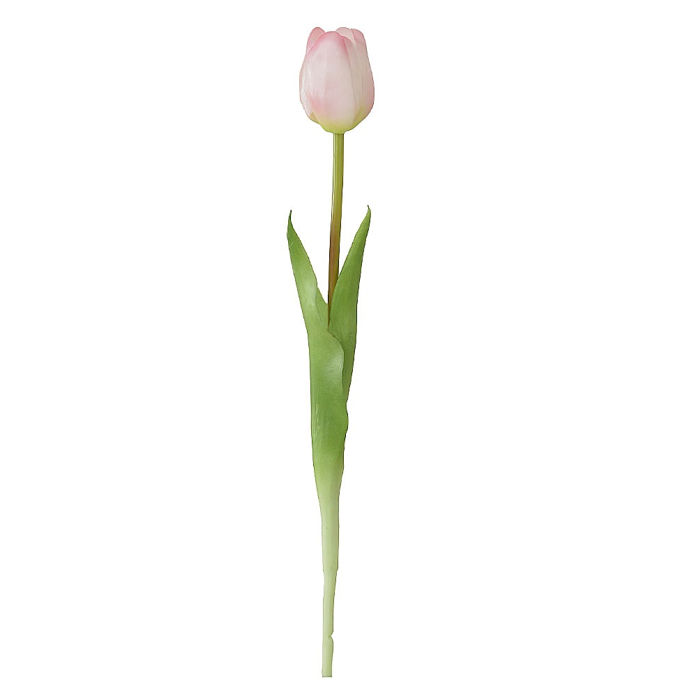 H. Tulipa Real toq Branco 44cm