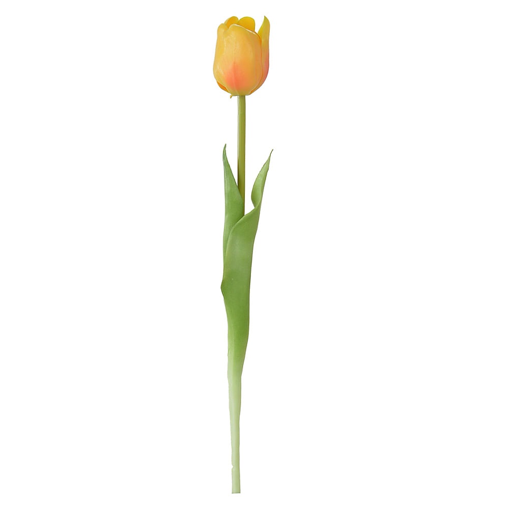 H. Tulipa Real toq Amarela t2 44cm