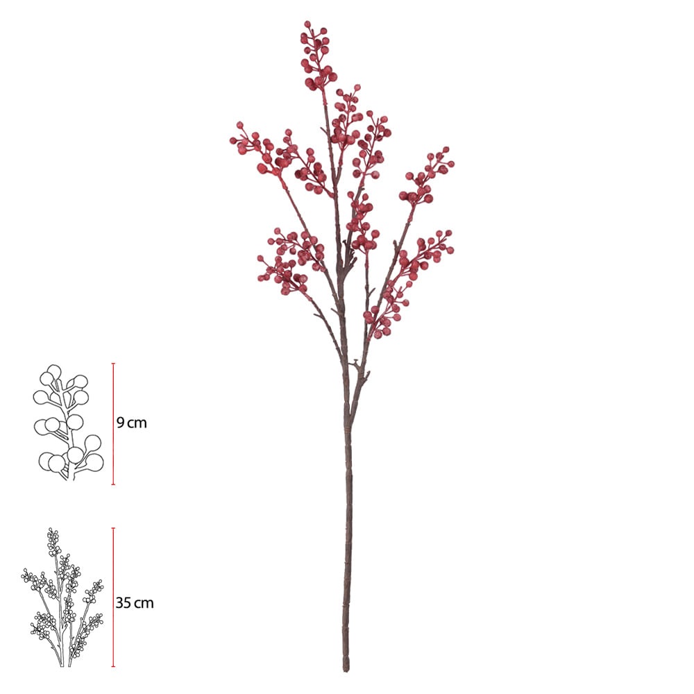 C.galho Berry X187 Marsala 70cm