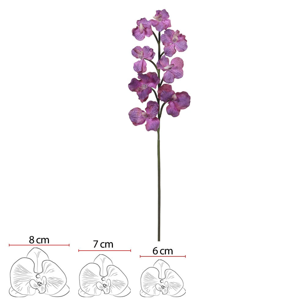 Orquidea Vanda Real toq x8 Purpura 65cm
