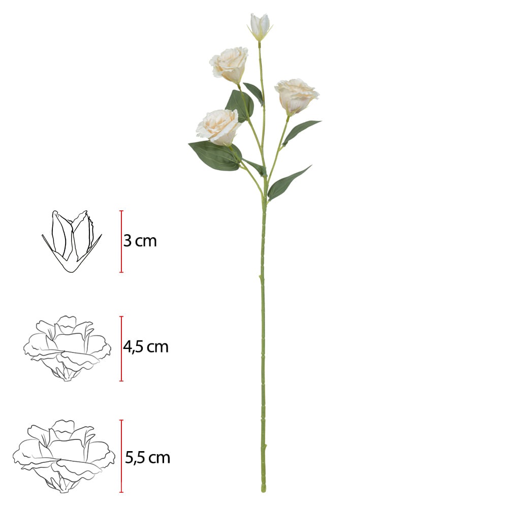 H.lisianthus x4 off White 61cm
