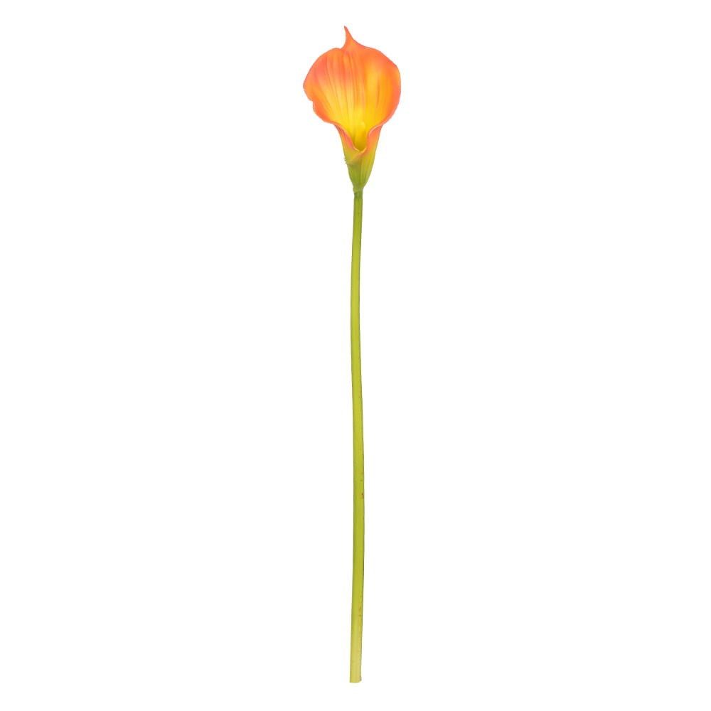 H.copo Leite Laranja 80cm