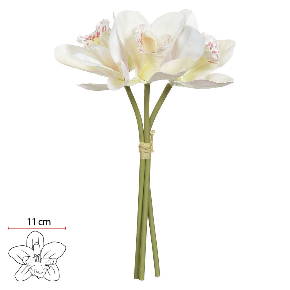 Orquidea Cymbidiu Real toq x3 Creme 23cm
