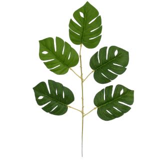 Costela de Adão X5 Verde 54Cm - Florarte