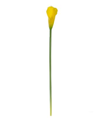 Haste Copo Leite Silicone Amarelo 71cm - Florarte