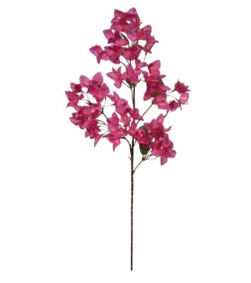 Haste Bougainville X75 Fucsia 2T 99cm - Florarte