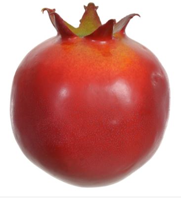 HF. Roma com Peso Vermelho Laranja 8cm  - Florarte