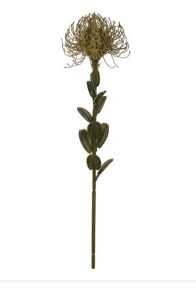 Haste Protea Palha 60cm - Florarte