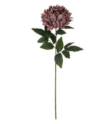 Haste Crisantemo Mauve Outono 66cm - Florarte