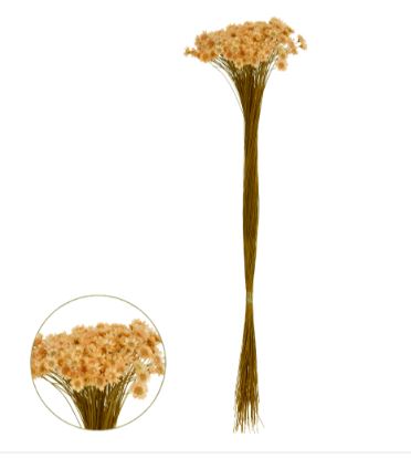 Sempre Viva Desidratado Pessego 40cm - Florarte