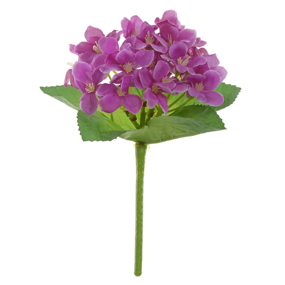 Buque Violeta X25 Purpura 21cm Florarte
