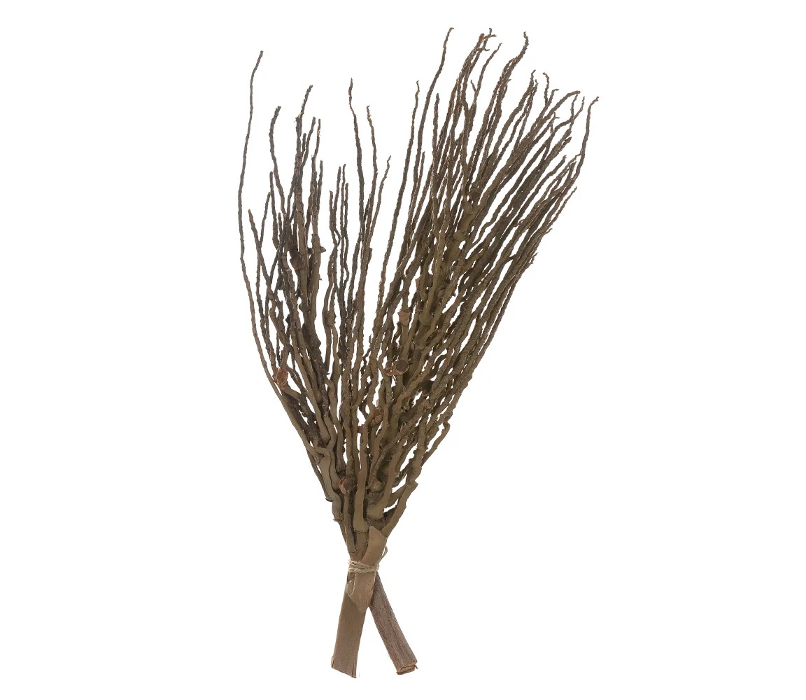 C.Cacho Coco Com 2 Unidades Marrom 60cm Florarte