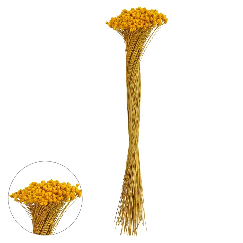 Planta Jazida Desidratado Amarelo Escuro 40cm Florarte