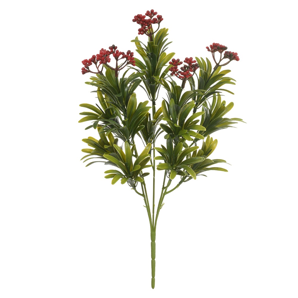 Folhagem Podocarpos Semente X5 Vermelho 36cm Florarte