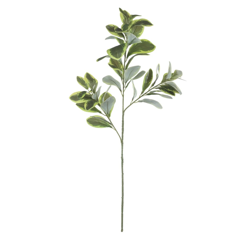 Haste Galho Clusia Real Toque x47 Verde Creme 75cm Florarte