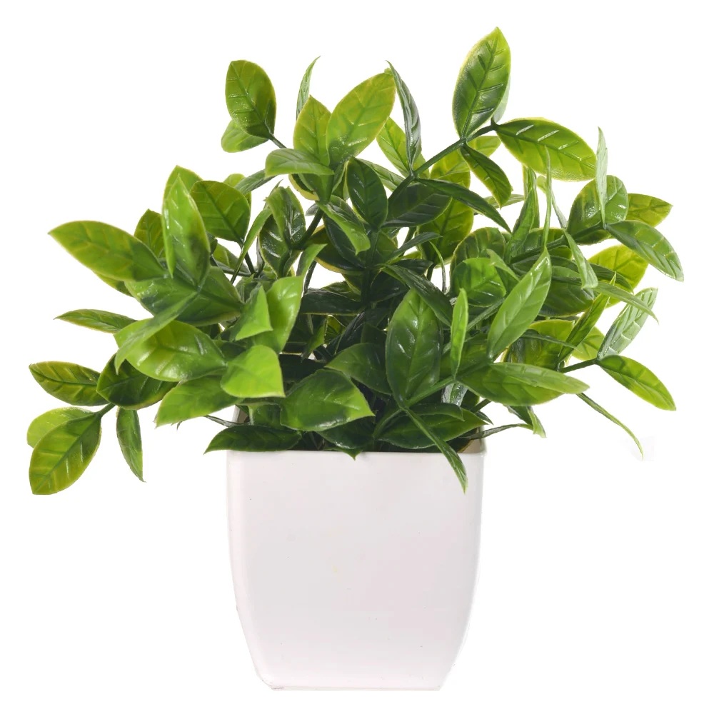 Folhagem Buxus Com Pote X17 Verde 18cm Florarte