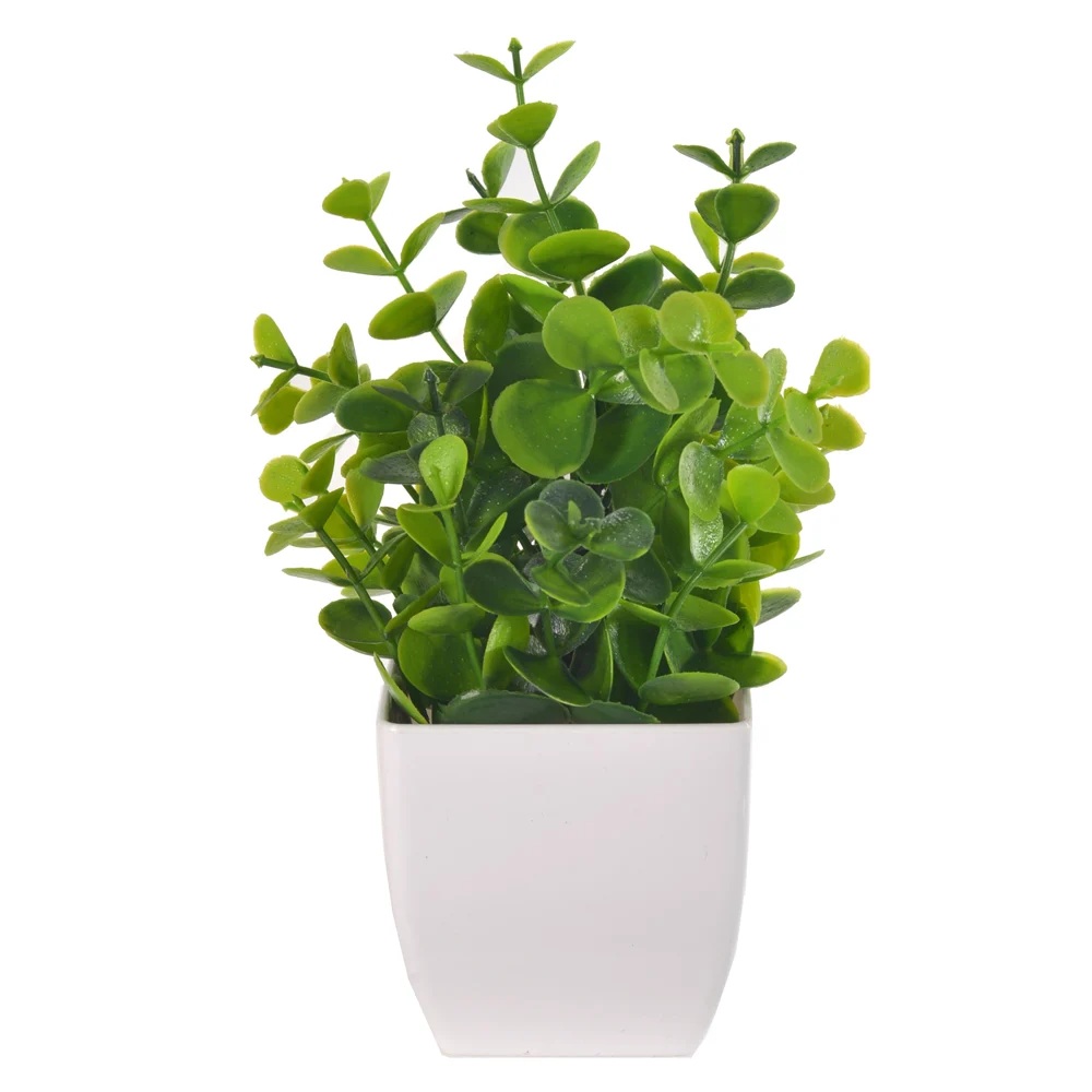 Folhagem Eucalipto Com Pote Plastico X23 Verde 18cm Florarte