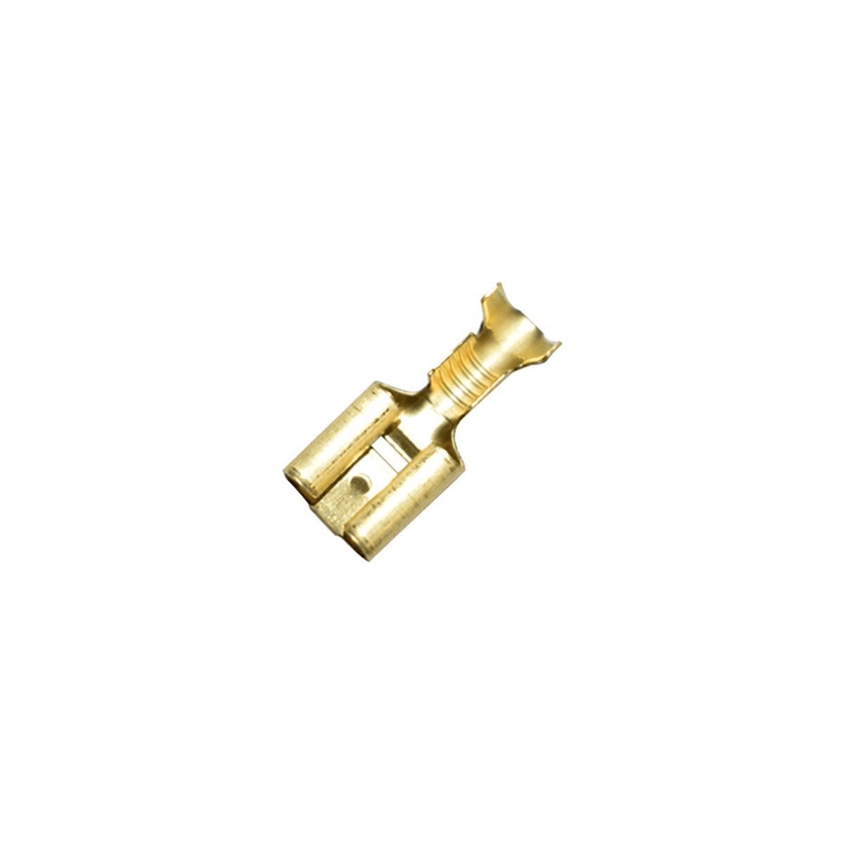 Terminal Femea S/trava 6.3
