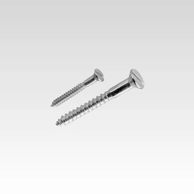 Parafuso cpa 2,5x25 P/bucha 04mm